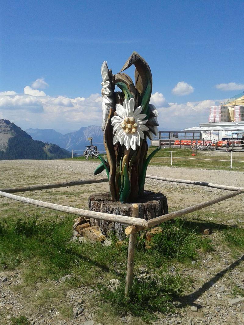 Alpenhaeuser Marcius Sonnenalpe Nassfeld Extérieur photo